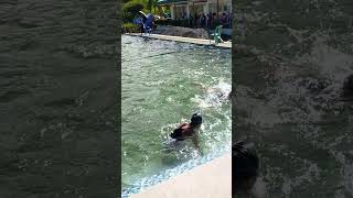 Laak municipal meet  backstroke 100 meters girls [upl. by Ecnarrat]