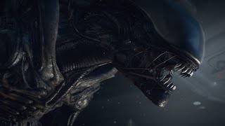 The Xenomorph Explained [upl. by Deland]