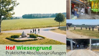 Praktische Abschlussprüfung  Landwirt  auf dem Hof Wiesengrund [upl. by Ikciv]