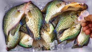 A SIMPLE Way To Catch LOADS Of Crappie From The Bank [upl. by Noval]