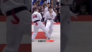 Karate kyokushin combo 🥋 karate mma martialarts [upl. by Ielhsa78]