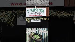 LAlligatore Seligenstadt 🐍 🐊 💥 1 [upl. by Ahusoj]