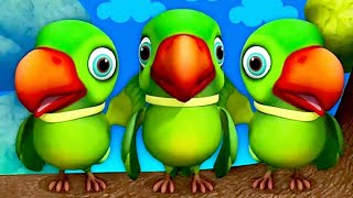 main tota main tota hare rang ka  new parrot song  parrot budgie trending [upl. by Darlleen]