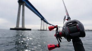 Fishing Under The Famous Coronado Bridge  PostStorm Conditions EPIC BITE [upl. by Gwynne]