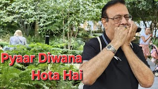 Pyar Diwana Hota Hai HarmonicaMouthorgan Cover [upl. by Lehcnom]