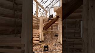 North American for log cabin construction construction viralvideo cabin shorts 007 [upl. by Granny]