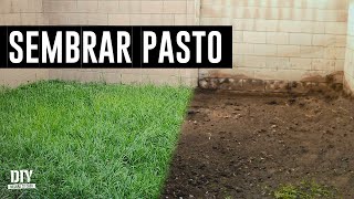 Cómo SEMBRAR SEMILLA de PASTO en tu patio o tu jardín  MEJORA TU CASA DIY [upl. by Anyahs]