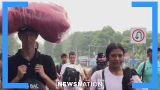 4000 migrants headed to southern border  NewsNation Now [upl. by Chappy]