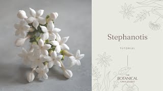 Gumpaste Stephanotis Sugar Flower tutorial [upl. by Lepine274]