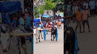 Reklarace bullrider reklawhatsappstatus mattuvandi kanyakumari rajreya halikar nattumadu [upl. by Kcirdahs993]