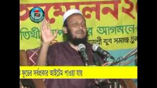 MAULANA SHIRAJUL ISLAM MIRPURI PART 02 About Pordar Bidan2012 [upl. by Anahpets]