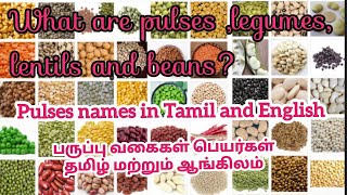 Pulses names in Tamil amp English Types of Dals  Lentils amp Legumes பருப்பு வகைகள் பயறுஅவரை வகைகள் [upl. by Nalrah]