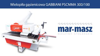 Wielopiła gąsienicowa GABBIANI PSCMMA 300100  MarMasz  Woodworking Machines [upl. by Intruoc791]