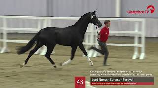 43 Hengst v Lord Nunes  Sorento  Festival [upl. by Goodden]