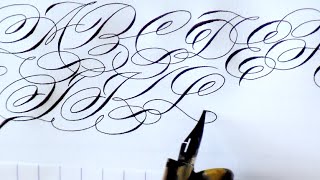 Flourished Calligraphy Alphabet Capitals [upl. by Utir]