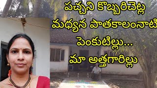 home tour in our village konaseema కోనసీమలో మా అత్తగారిల్లు చూపిస్తాను రండి [upl. by Dorisa]