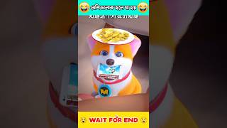 Yummy And Moco Funny Video 😹 Moco Yummy Funny Video 🤣 funny YummyMoco Moco tranding [upl. by Otir]