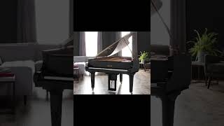 Best Piano Shop In Australia [upl. by Mani664]