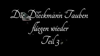 Die Dieckmann Tauben fliegen wieder  Teil3 [upl. by Tonie130]