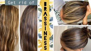 TONING your hair at home  STEP by STEP how to get rid of BRASSINESS in Highlights [upl. by Zilef]