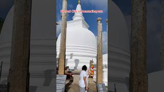 Thuparamaya Temple 🛕🇱🇰✅travel anuradapura srilanka shorts [upl. by Nickolai]