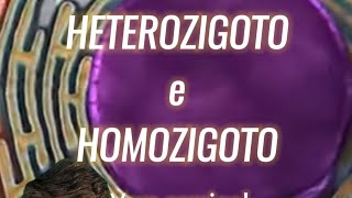 Qual a diferença entre homozigoto e heterozigoto [upl. by Nosirrag656]