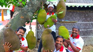 Jackfruit Recipe  How to make Bengali famous Kathal Fuluri cooking for village people [upl. by Eedak721]