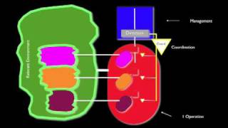 Viable System Model [upl. by Airalav]