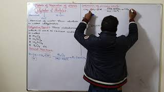 Methods of Preparation of Alkenes  Dehydration of Alcohols  ch8  12th class chemistry [upl. by Crissie11]