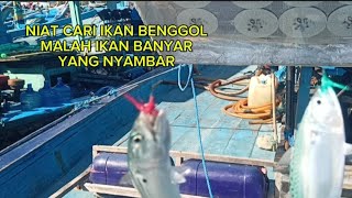 MANCING DI DERMAGA SENDANG BIRU MALANG SELATAN [upl. by Westney]