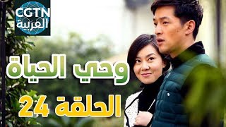 مسلسل وحي الحياة الحلقة 24 [upl. by Ianteen]