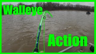 Maumee River Walleye Run WALLEYE FISHING [upl. by Kcir]