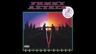 Funky Aztecs  Chicano Blues Full Album [upl. by Zurheide537]