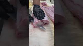 Cobia fish cutting explore seafood viralvideos viralvideo [upl. by Katzir]