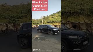 Ghas ke liye Gujrat ki ore Prasthan [upl. by Lurlene]