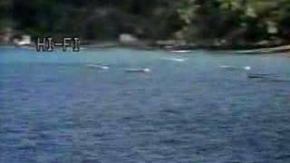 Trinidad amp Tobago Tourist Video 1984 Part 5 FINAL [upl. by Askari]