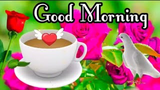 Good Morning status 🌹Good Morning shayari 🌹Good Morning video 🌹Good Morning [upl. by Mchugh]