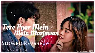 Lofi Mix ❤️ Tere Pyar Mein Main Marjawan  Hogi Pyar Ki Jeet rajlofi Romantic lofi song [upl. by Eeresed723]