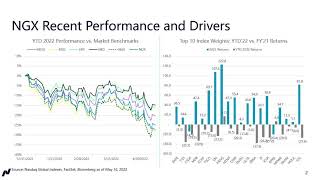 YTD Performance in the Nasdaq Next Gen 100 [upl. by Hindu]