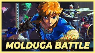 MOLDUGA BATTLE THEME  The Legend Of Zelda Breath Of The Wild [upl. by Aniri699]