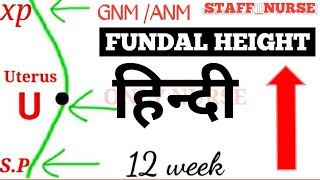 Fundal Height measurement by week  Nursing maternity [upl. by Gladdie]