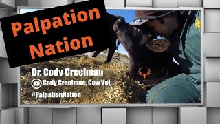 Meet Cody Creelman Cow Vet [upl. by Eugenio740]