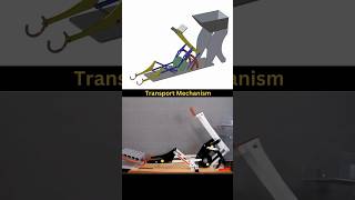 Transport mechanism 😍 [upl. by Rosinski]