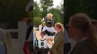 tiktok horse pony equestrian championship viral [upl. by Tonia]