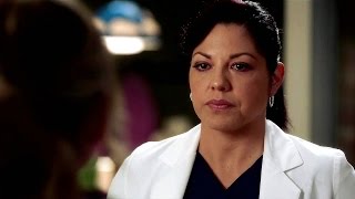 Callie and Arizona moments  1222 quotMama Triedquot  part 11 HD [upl. by Hoem463]