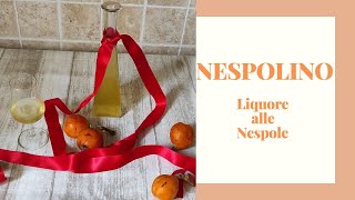 Nespolino ottimo liquore alle nespole  ricetta della nonna perfetta e veloce [upl. by Alegnave]