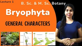 Bryophyta  General characters  in Hindi  Botany  B Sc amp M Sc [upl. by Ferris]