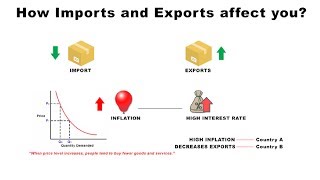 How Imports and Exports Affect You  Economics [upl. by Stiruc]