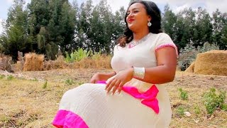 Addis Adela  Zale Zale  ዛለ ዛለ  New Ethiopian Music 2017 Official Video [upl. by Atiragram]