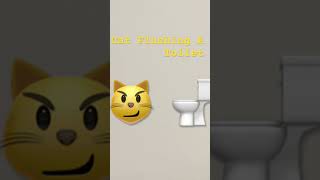 Cat flushing A Toilet by Parry Gripp music [upl. by Veronike]